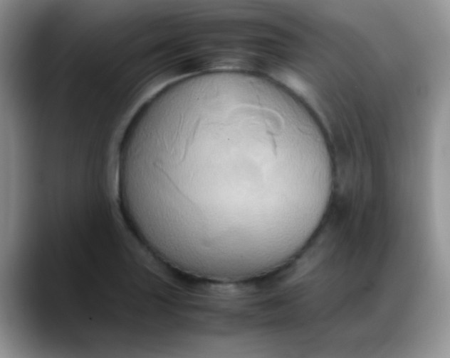 X0000088211227200705292046