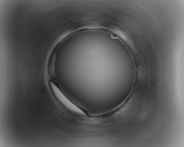 X0000088211229200705292046