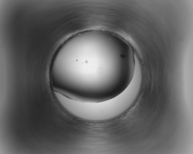 X0000088211230200705292046
