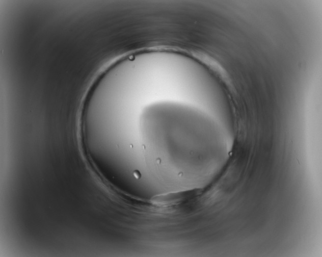 X0000088211231200705292046