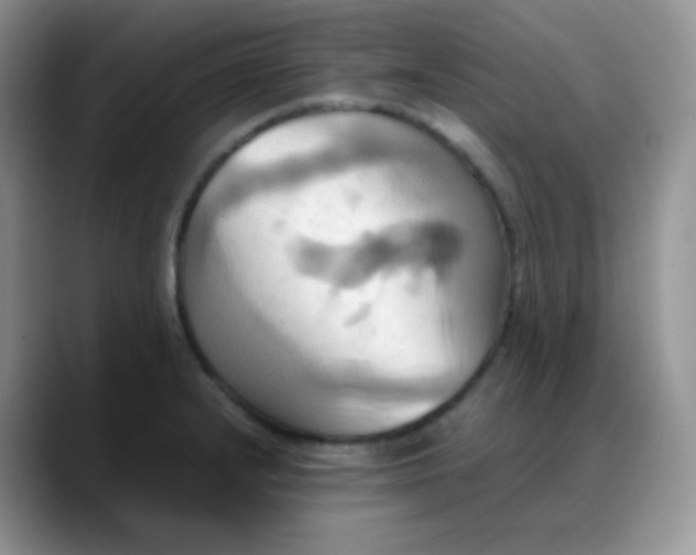 X0000088211232200705292046