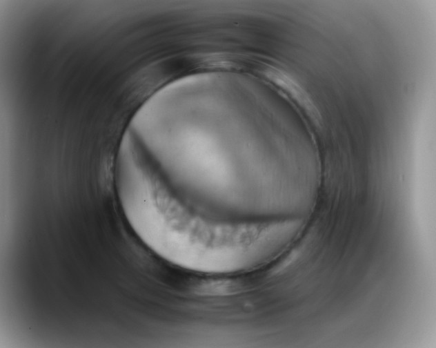 X0000088211233200705292046