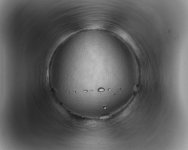 X0000088211234200705292046