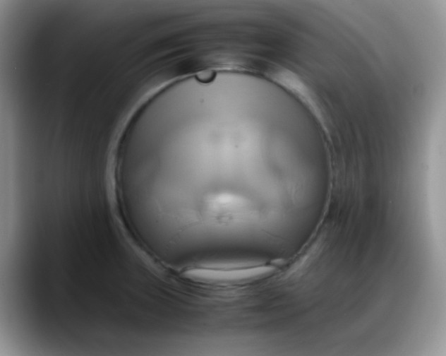 X0000088211235200705292046