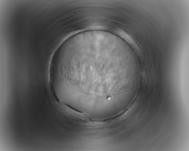 X0000088211236200705292046