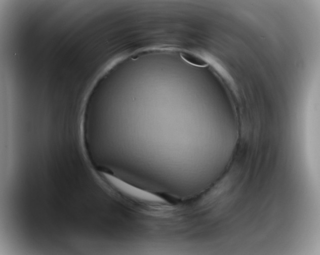 X0000088211237200705292046