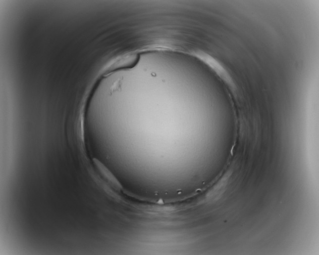 X0000088211238200705292046