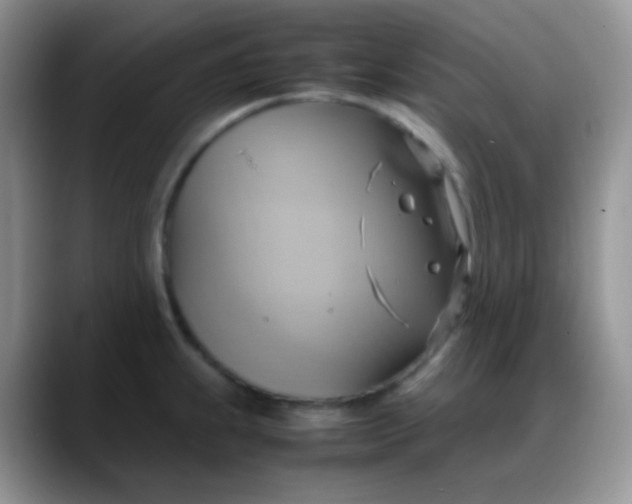 X0000088211239200705292046