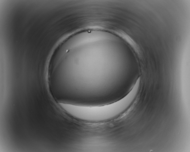 X0000088211240200705292046