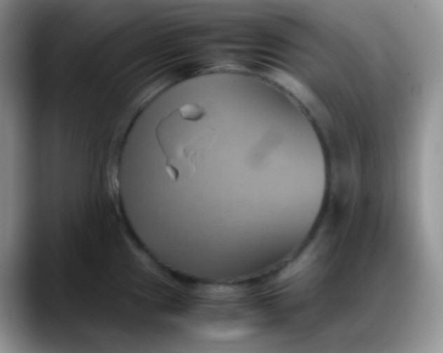 X0000088211241200705292046