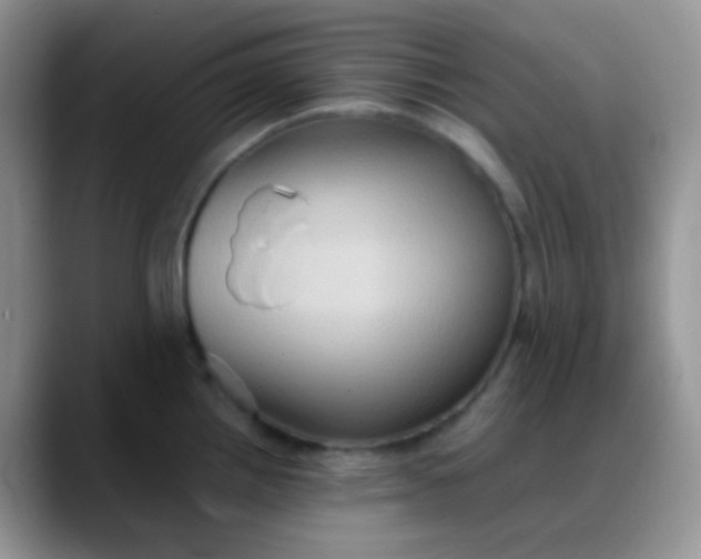 X0000088211242200705292046