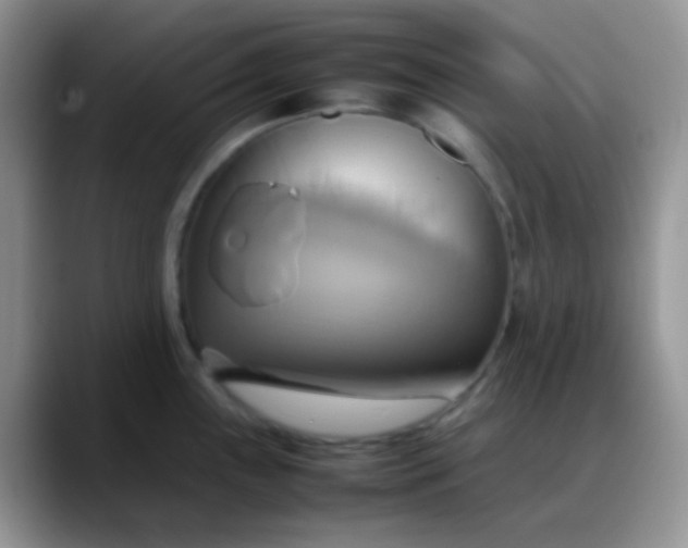 X0000088211243200705292046