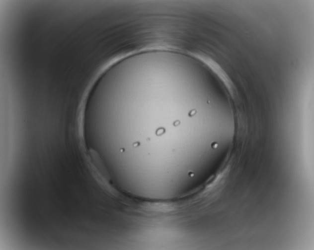 X0000088211246200705292046