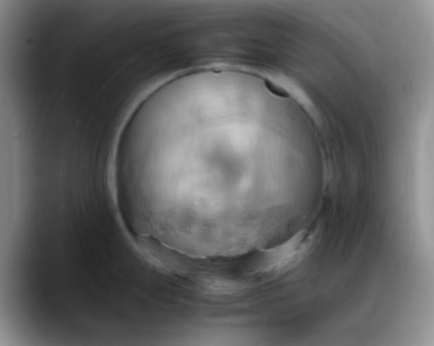 X0000088211247200705292046