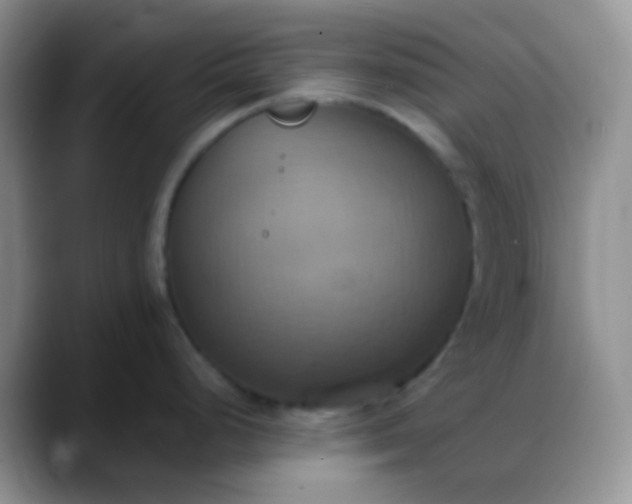 X0000088211248200705292046