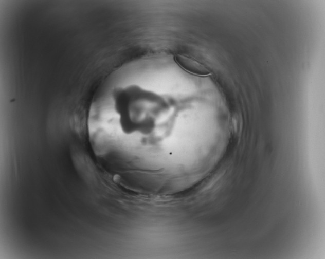 X0000088211251200705292045