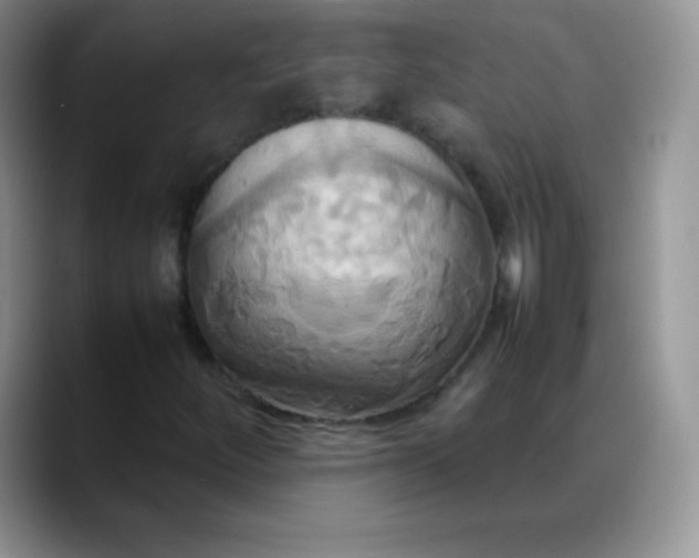 X0000088211252200705292045