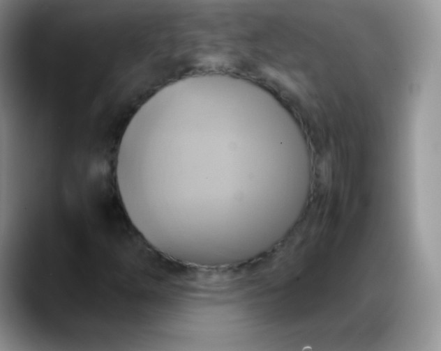 X0000088211254200705292045