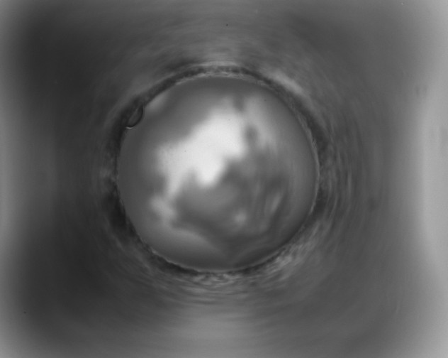 X0000088211255200705292045
