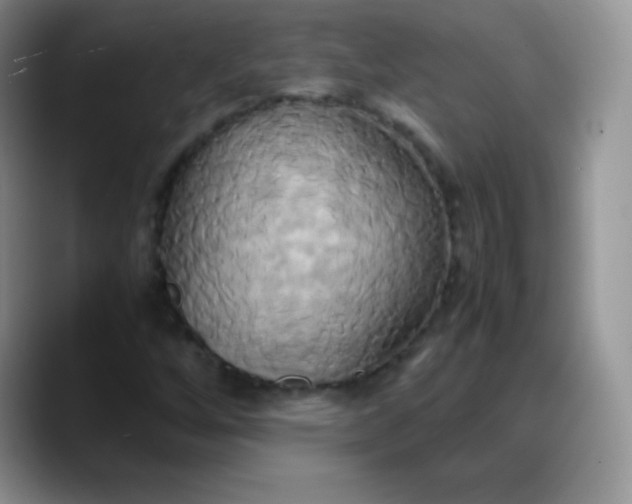 X0000088211256200705292045