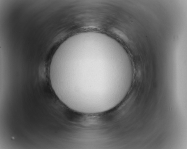X0000088211258200705292045
