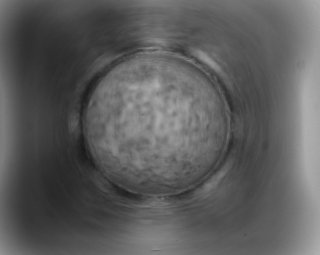 X0000088211259200705292045