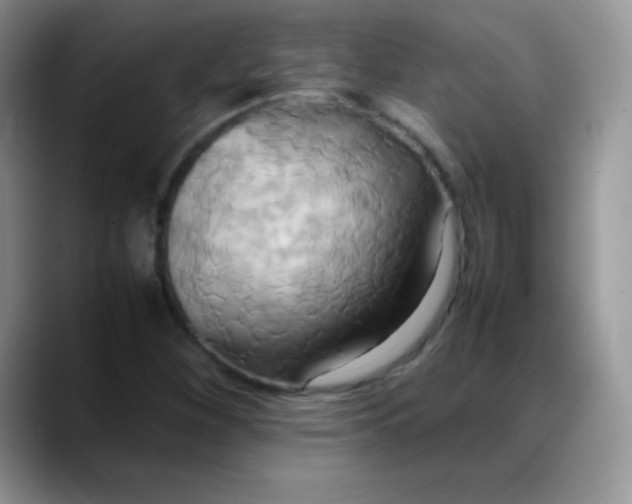 X0000088211260200705292045