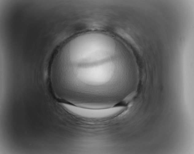 X0000088211261200705292045