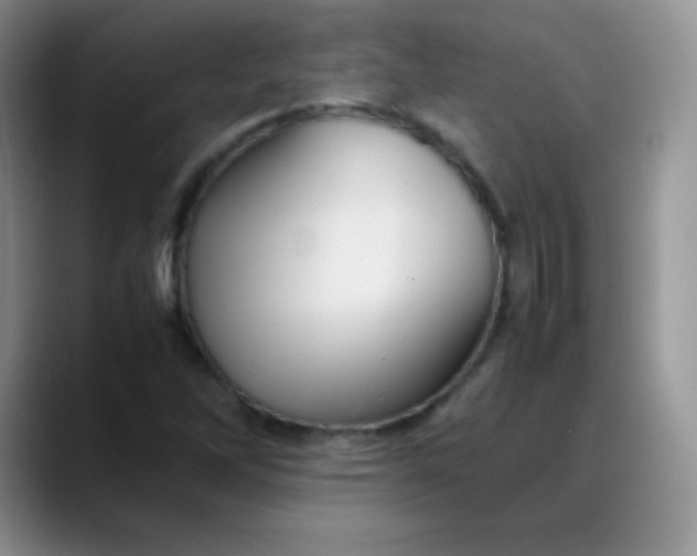 X0000088211262200705292045