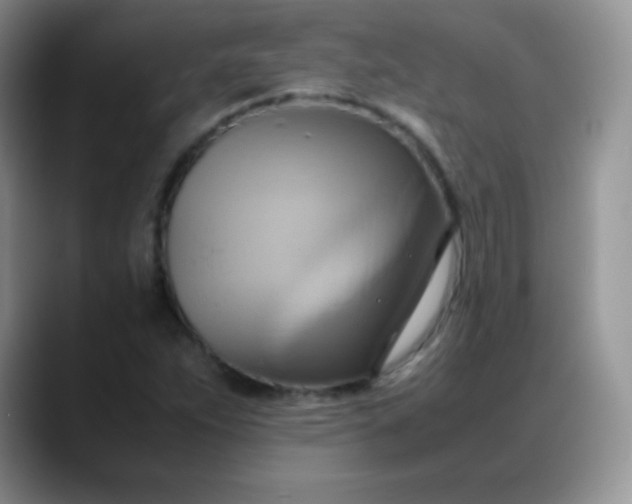 X0000088211263200705292045