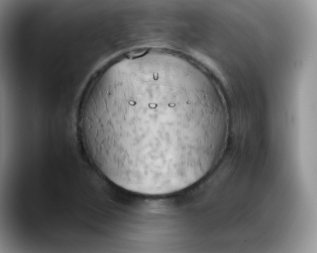 X0000088211264200705292045