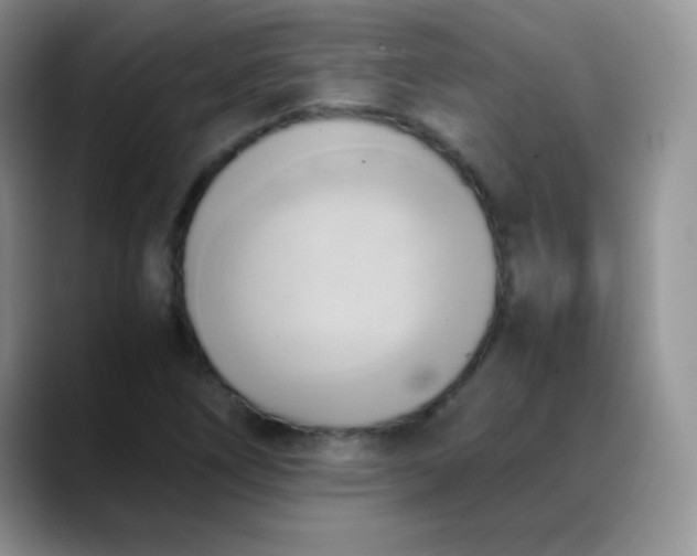 X0000088211266200705292045