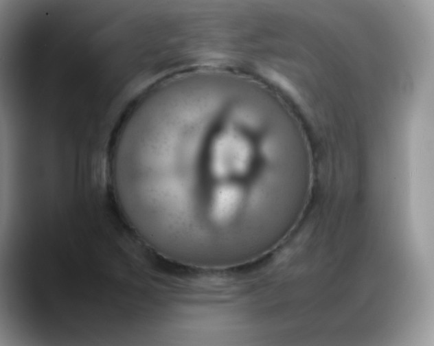 X0000088211267200705292045