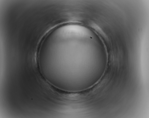 X0000088211268200705292045