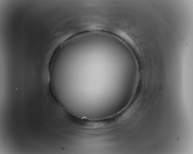X0000088211269200705292045