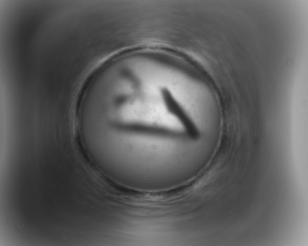 X0000088211271200705292045