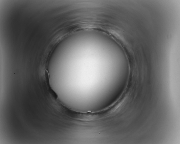 X0000088211273200705292045