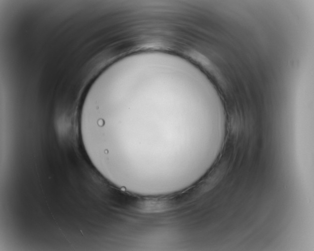 X0000088211274200705292045