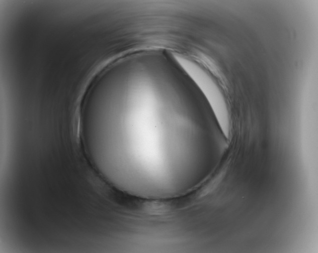 X0000088211275200705292045