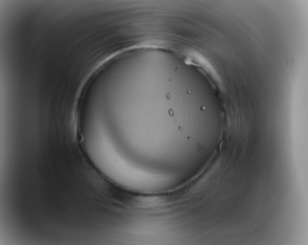 X0000088211276200705292045