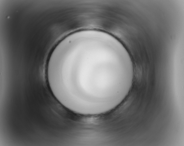 X0000088211278200705292045