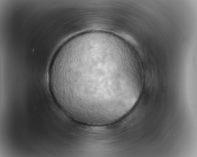 X0000088211280200705292045