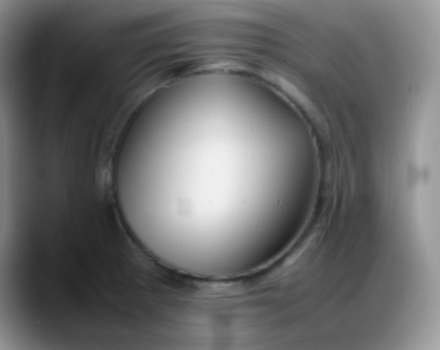 X0000088211281200705292045