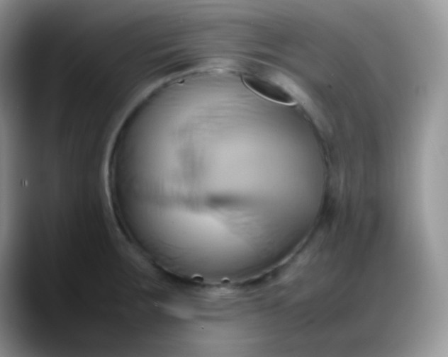 X0000088211283200705292045