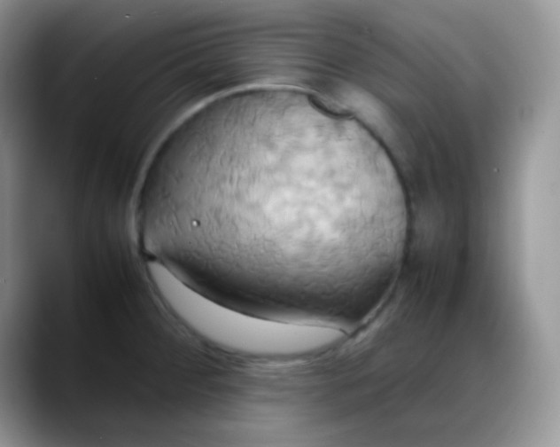 X0000088211284200705292045
