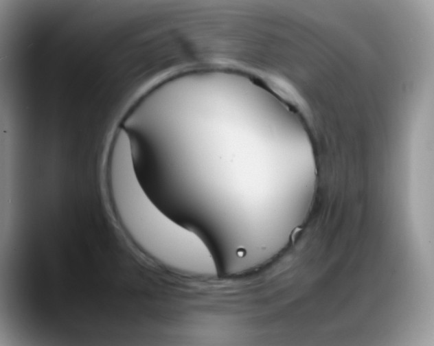 X0000088211287200705292045