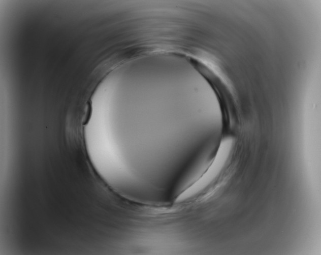 X0000088211289200705292045