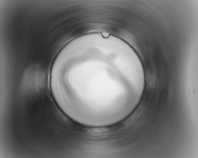 X0000088211290200705292045