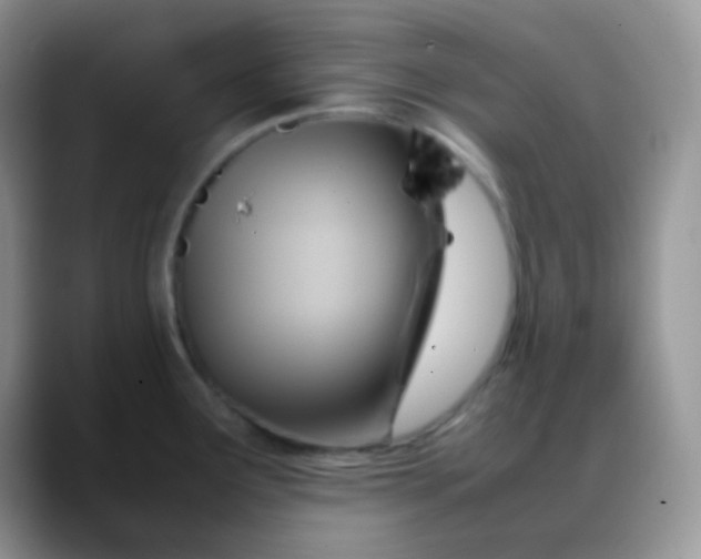 X0000088211291200705292045