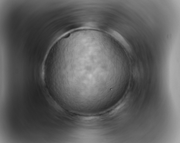 X0000088211292200705292045